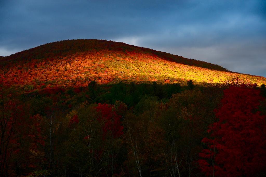 Mountain Treasure Bed And Breakfast Maplecrest Экстерьер фото